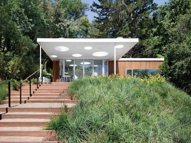 A compact Mill Valley guesthouse blends into the redwood landscape with wood siding and playful skylights.
