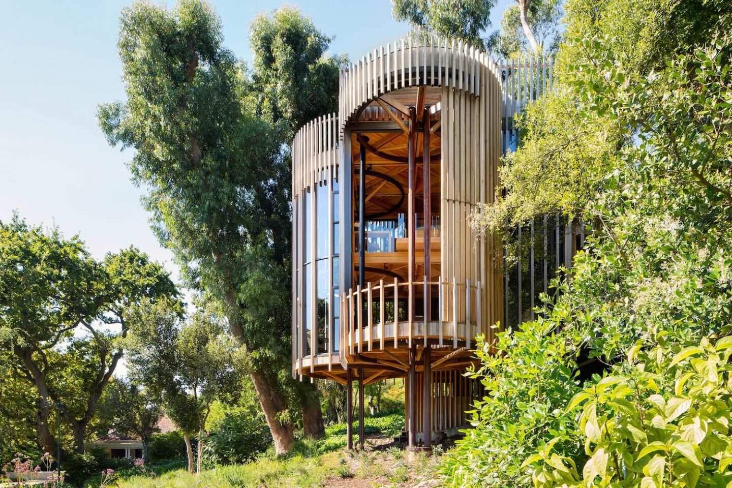 A tree house in Cape Town’s Constantia designed to weather naturally, blending untreated materials with the forest around it.
