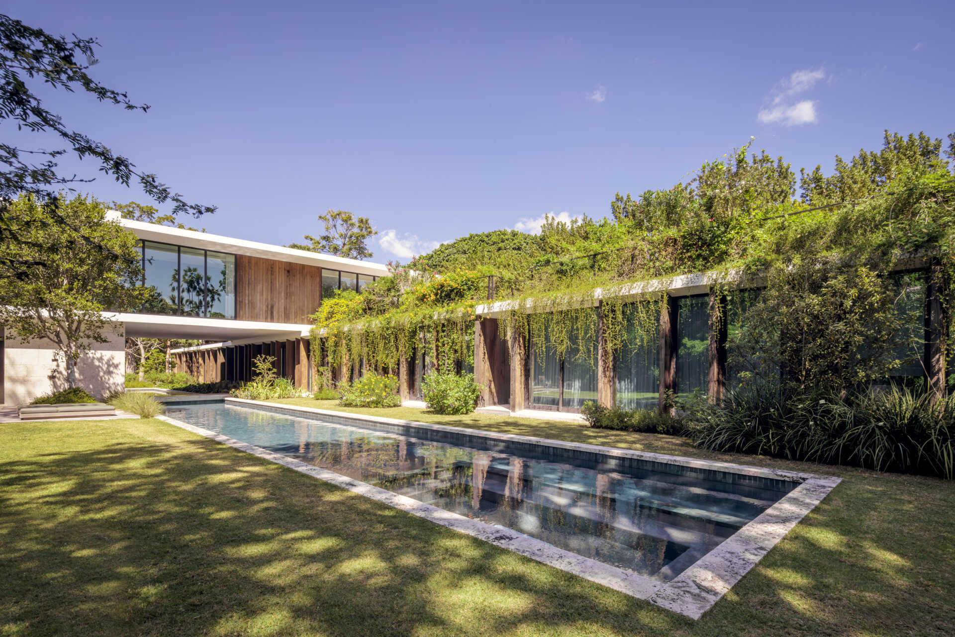 Two interlocking volumes define this Coconut Grove home, with wood panels, overhanging plants, and louvers creating warmth, shade, and a subtle connection to the surrounding greenery.