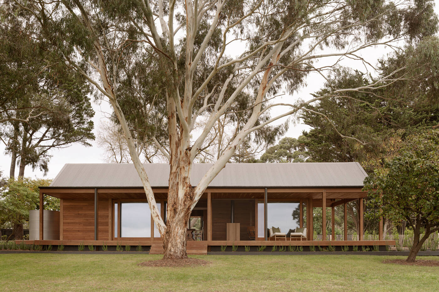 Local blackbutt timber defines the exterior of this vineyard house in Main Ridge. Designed by Porebski Architects, the two pavilion structures are clad in ship-lapped boards and raised lightly above the landscape.