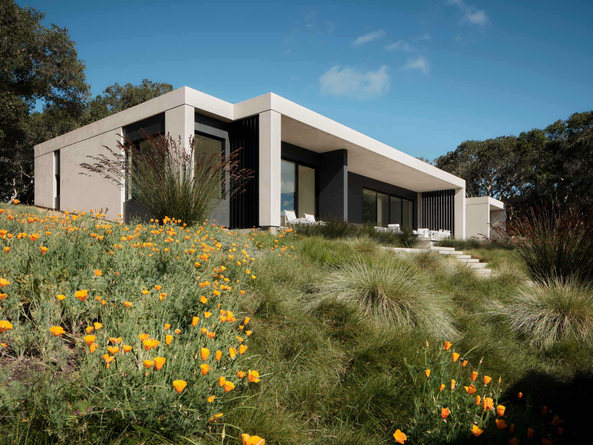See how Live Oak Residence blends into a California meadow by nestling beneath a hillside and opening toward expansive views.