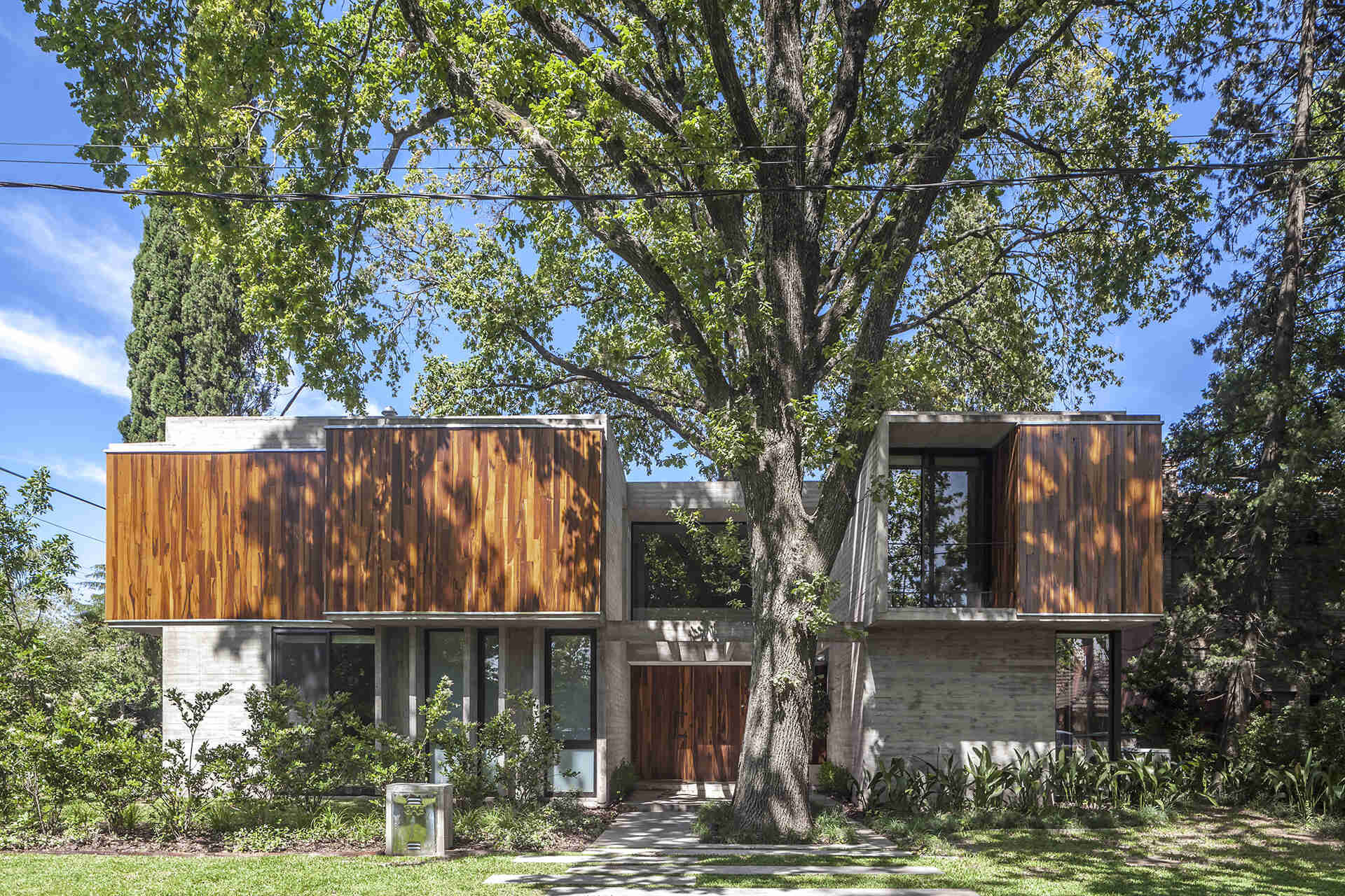 Casa Aranzazu in Buenos Aires by Besonias Almeida arquitectos is a modern concrete and wood house designed around mature trees, with large windows and a leafy corner-lot setting.